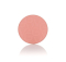 Рум'яна BL-04 - BLUSH CRUSH PROVG Provg - фото №2